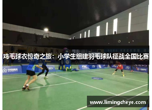 鸡毛球衣惊奇之旅：小学生组建羽毛球队征战全国比赛